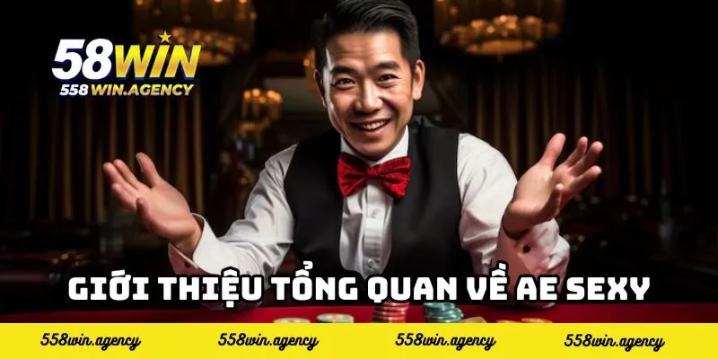 Giới thiệu tổng quan về AE Sexy