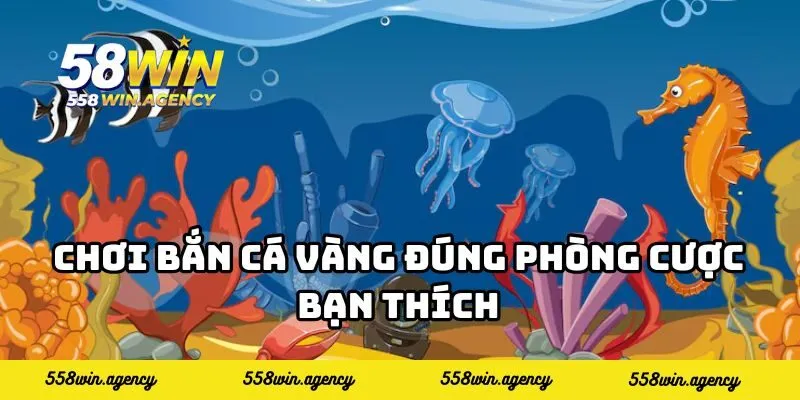 Chơi bắn cá vàng đúng phòng cược bạn thích
