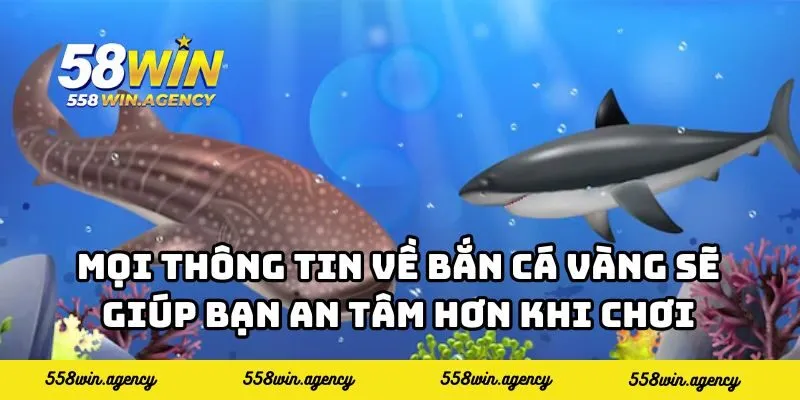 Mọi thông tin về bắn cá vàng sẽ giúp bạn an tâm hơn khi chơi