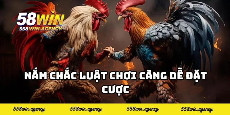 Nắm chắc luật chơi càng dễ đặt cược