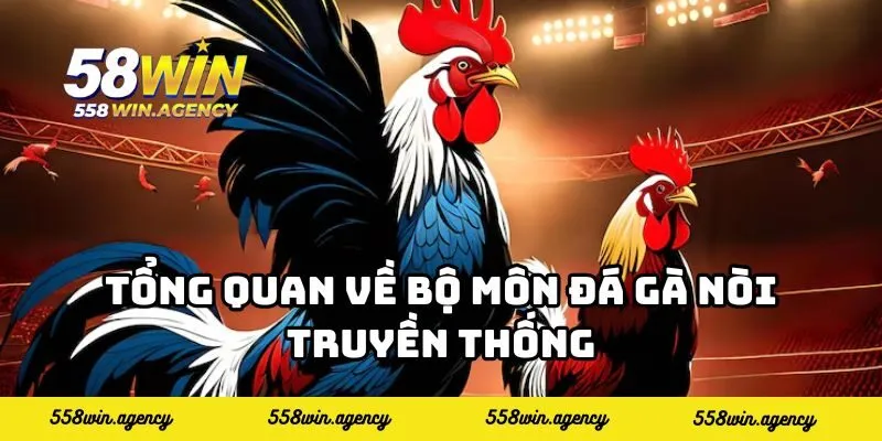 Tổng quan về bộ môn đá gà nòi truyền thống
