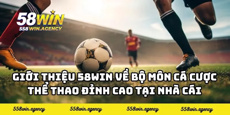 Giới thiệu 58WIN về bộ môn cá cược thể thao đỉnh cao tại nhà cái