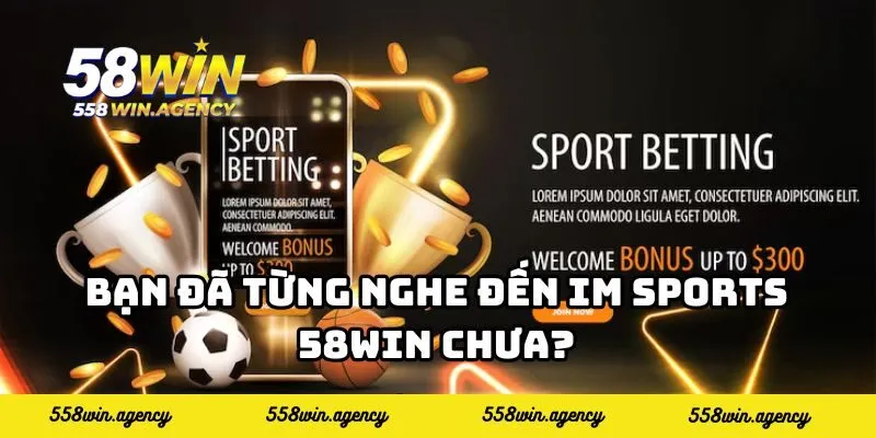 Bạn đã từng nghe đến IM Sports 58WIN chưa?