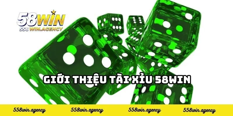 Giới thiệu tài xỉu 58WIN