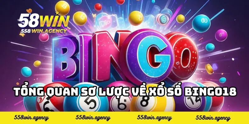 Tổng quan sơ lược về xổ số Bingo18
